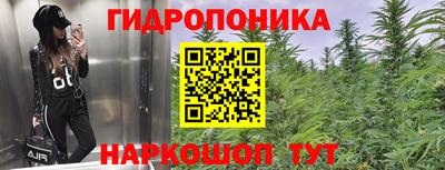 стаф Можга