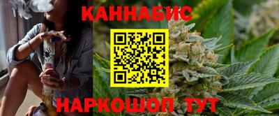 стаф Можга