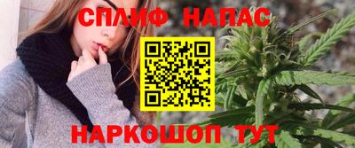 стаф Можга